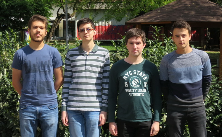 hrvatska informatička reprezentacija