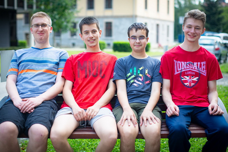 hrvatska informatička reprezentacija